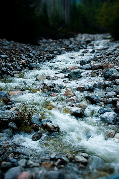 Stream
